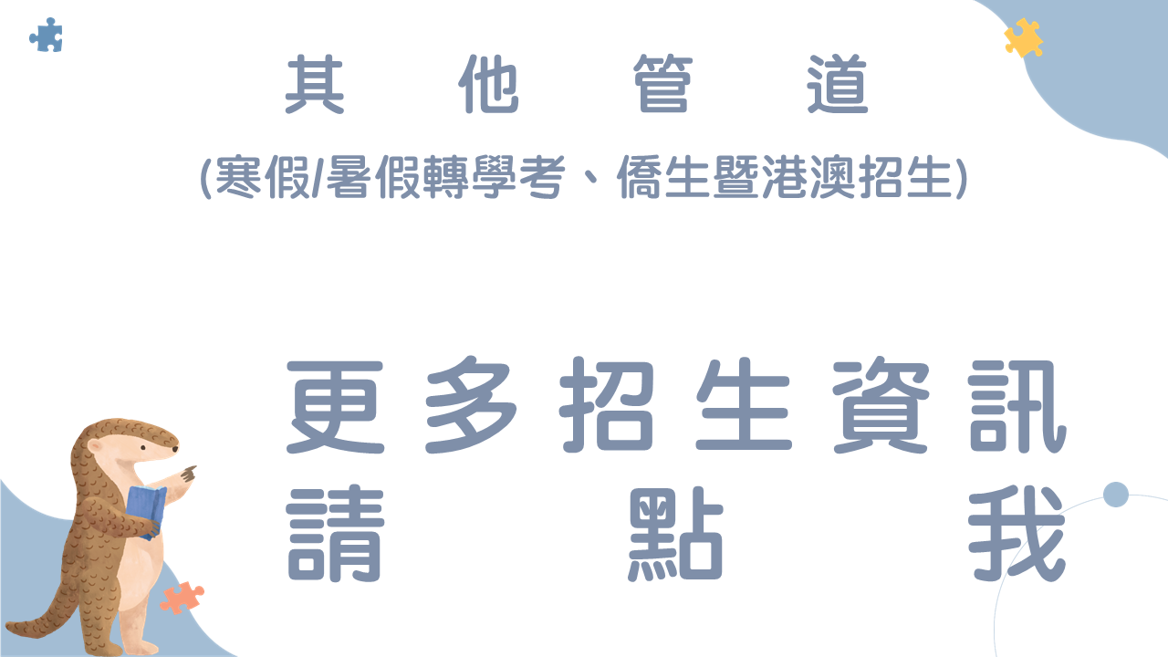 其他管道